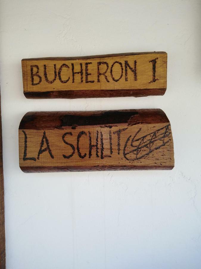 Le Gite Du Bucheron Dabo Kültér fotó