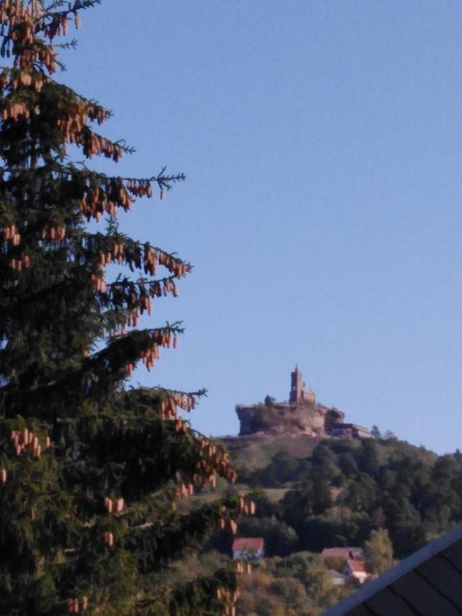 Le Gite Du Bucheron Dabo Kültér fotó